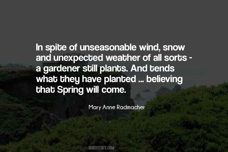 Quotes About Spring Snow #917282