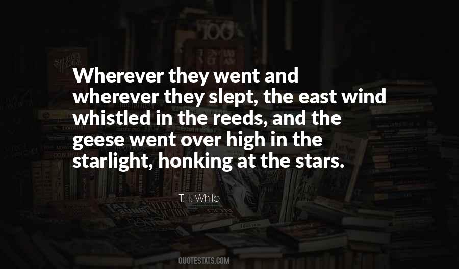 Zatanna Zatara Quotes #196114