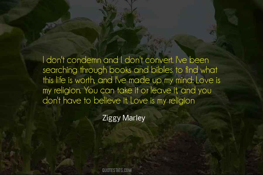 Ziggy Quotes #56797