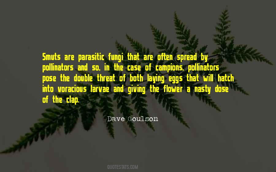 Quotes About Voracious #887712
