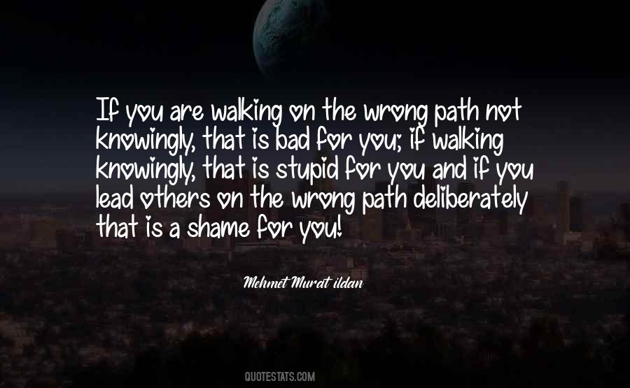 Quotes About Walking A Path #675685
