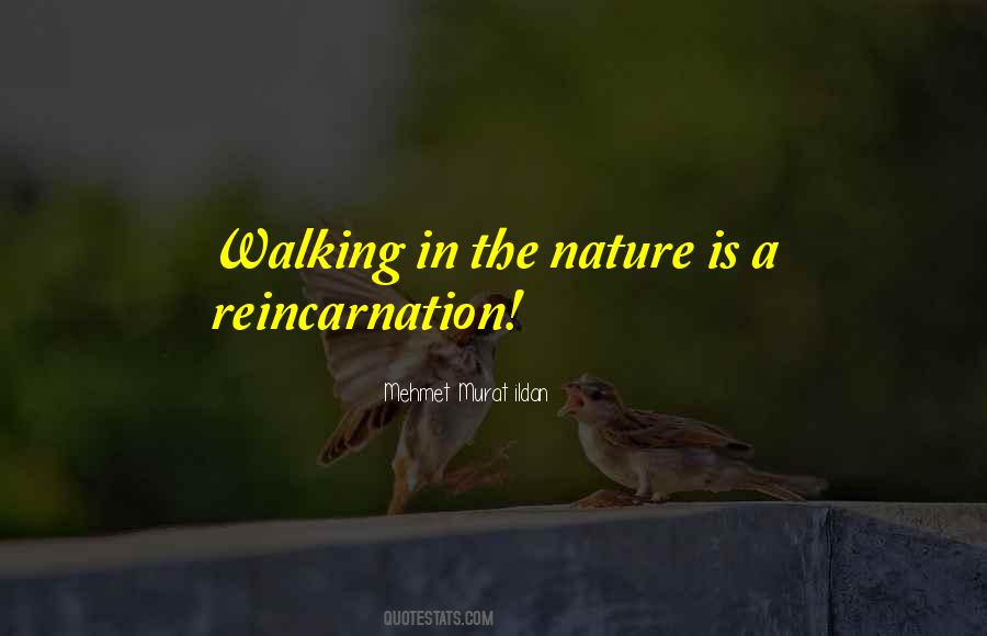 Quotes About Walking In Nature #221651