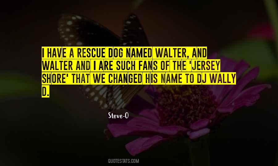 Quotes About Walter #973096