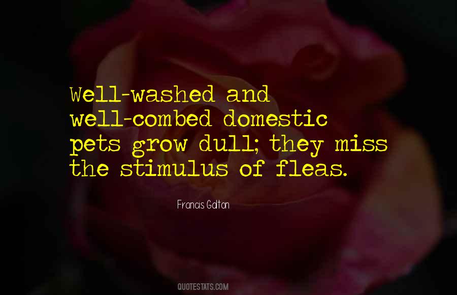 Quotes About Washed #242304 Quotes About Washed #242304