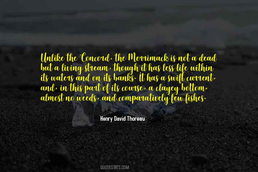 Quotes About Water Currents #659925