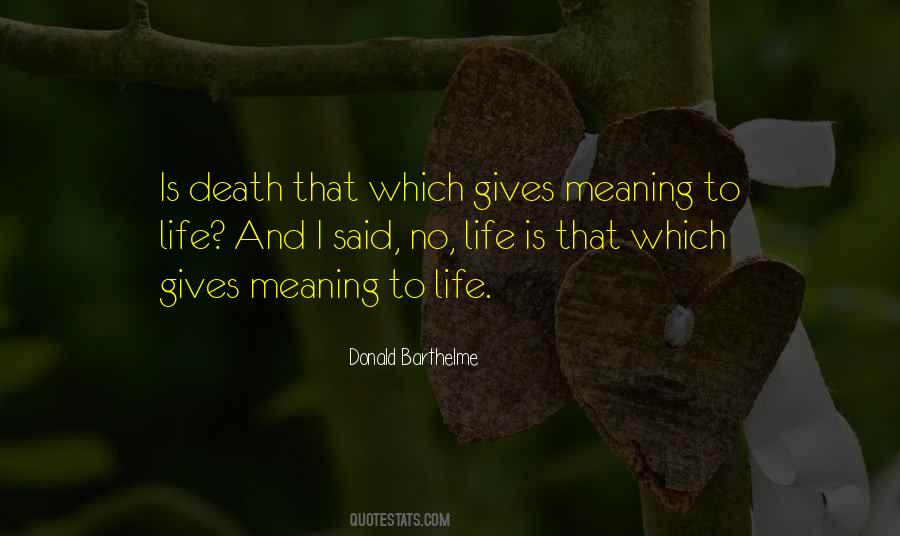 Quotes About What Gives Life Meaning #196045