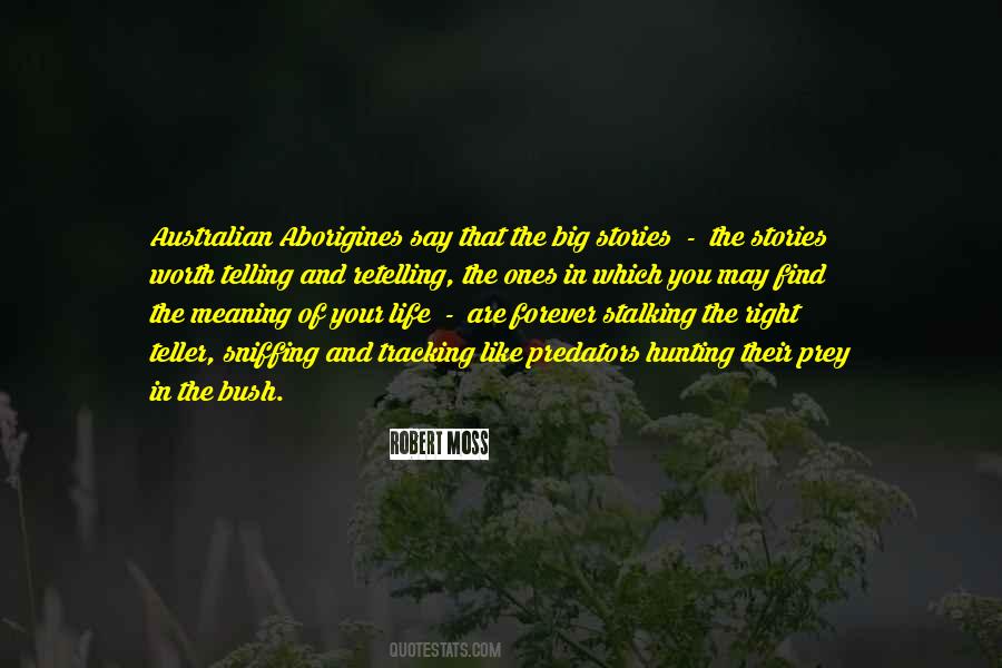 Quotes About Hog Hunting #6982