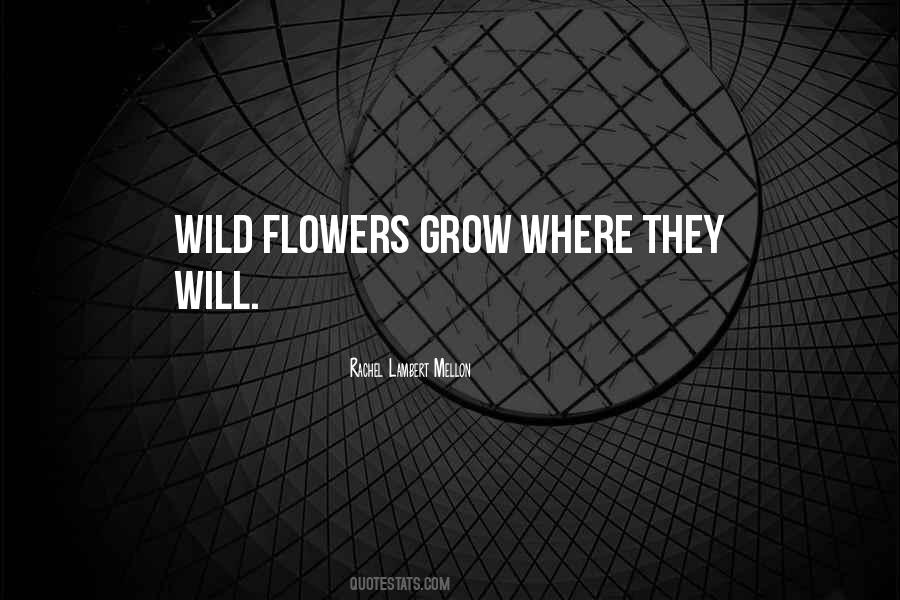 Quotes About Wild Flowers #1058847