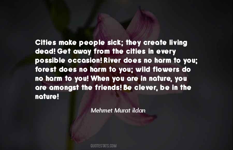 Quotes About Wild Flowers #86891