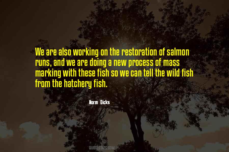 Quotes About Wild Salmon #611153
