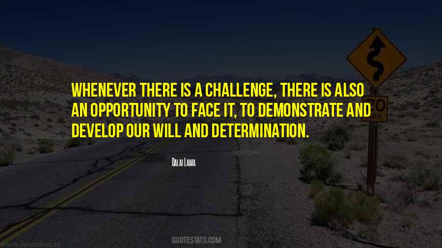 Quotes About Will And Determination #1717499