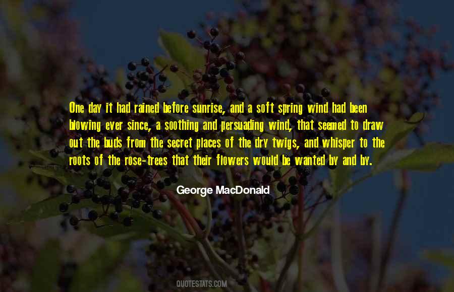 Quotes About Wind Blowing #501997