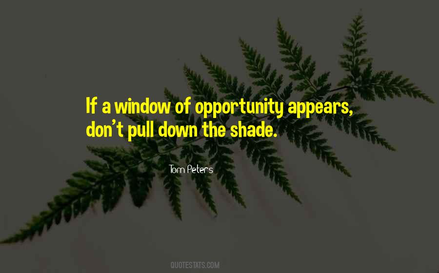 Quotes About Window Of Opportunity #1649514