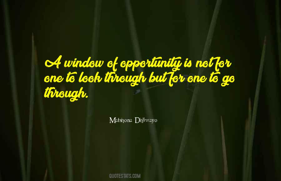 Quotes About Window Of Opportunity #1653662