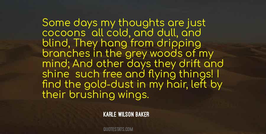 Quotes About Wings And Flying #1230648