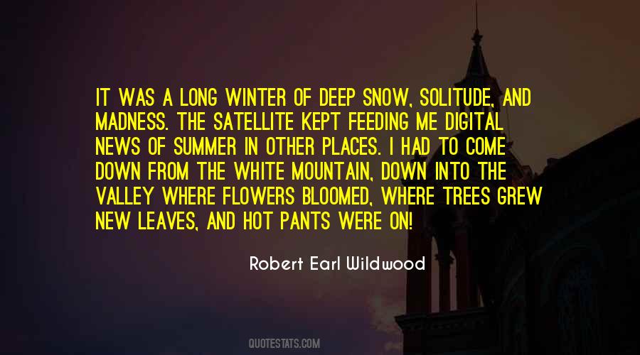 Quotes About Winter Solitude #1271867