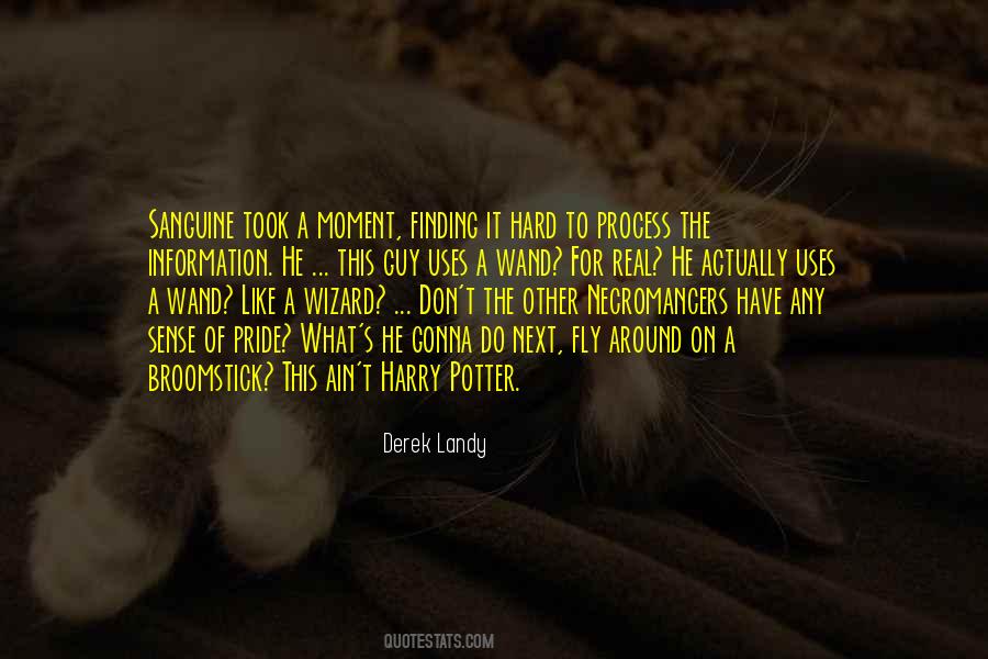 Quotes About Wizard #1412021