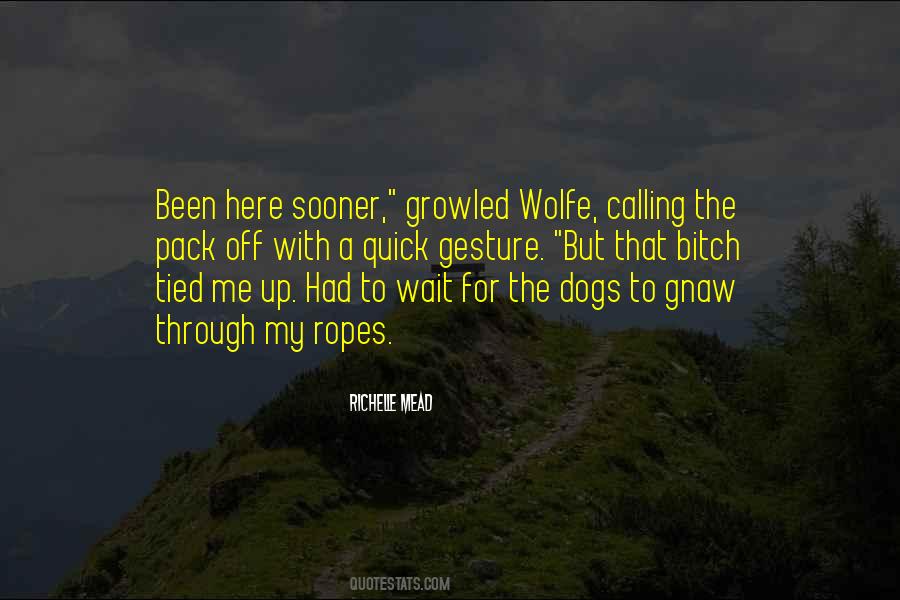 Quotes About Wolfe #544072