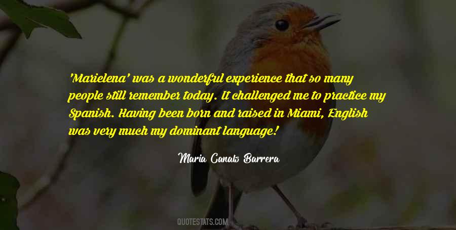 Quotes About Wonderful Experience #186880