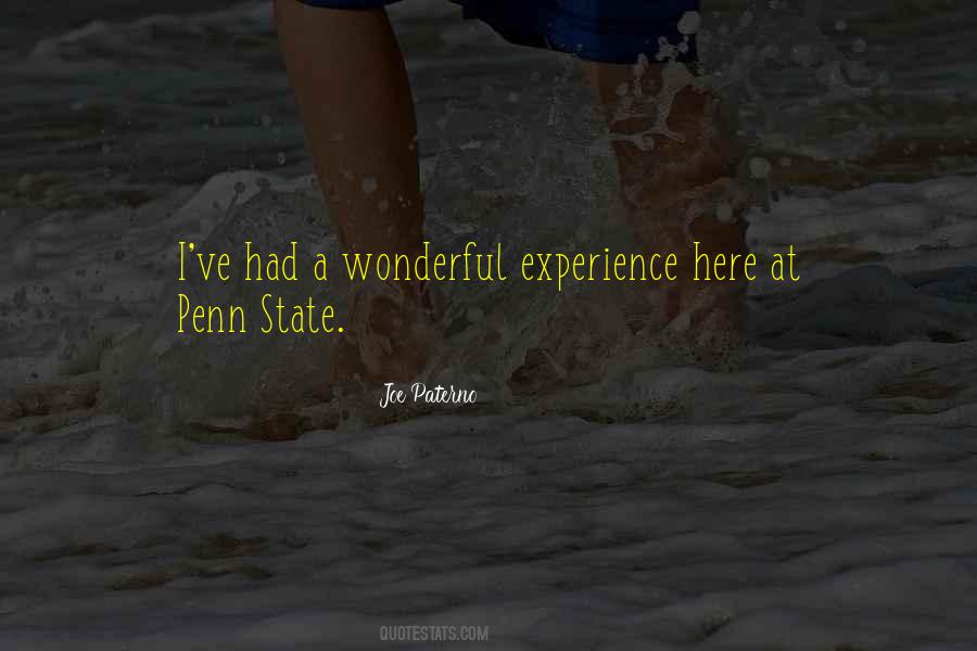Quotes About Wonderful Experience #546182