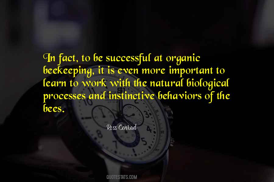 Quotes About Work Processes #1684290