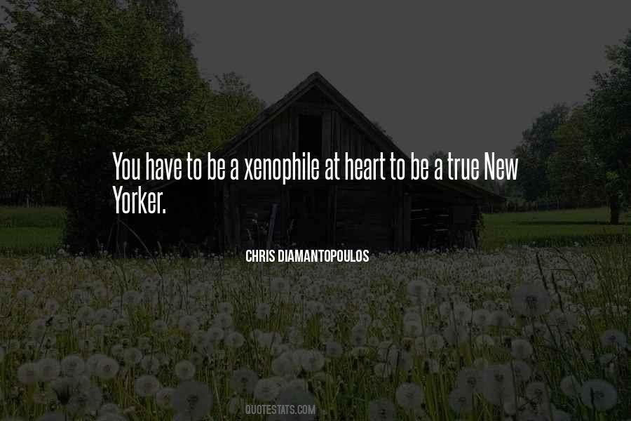 Quotes About Yorker #1168041