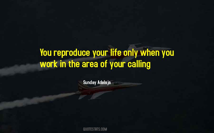 Quotes About Your Calling In Life #1696296