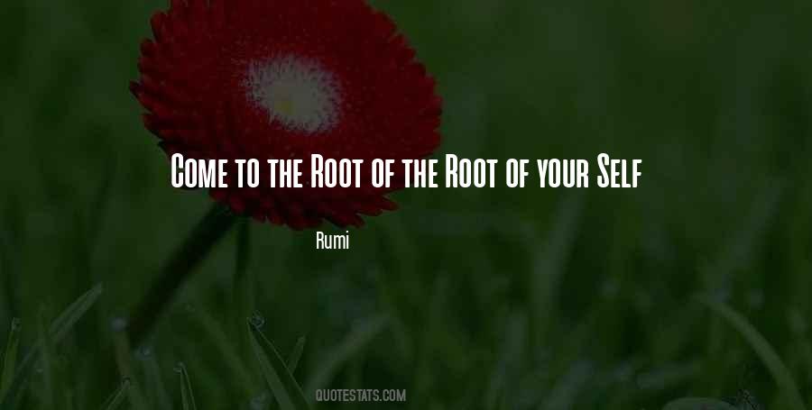 Quotes About Your Roots #968264