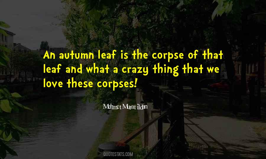 Quotes About Autumn Leaf #606722