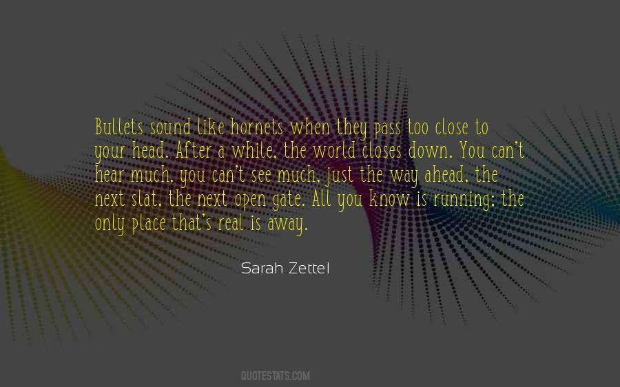 Quotes About Zettel #1723439