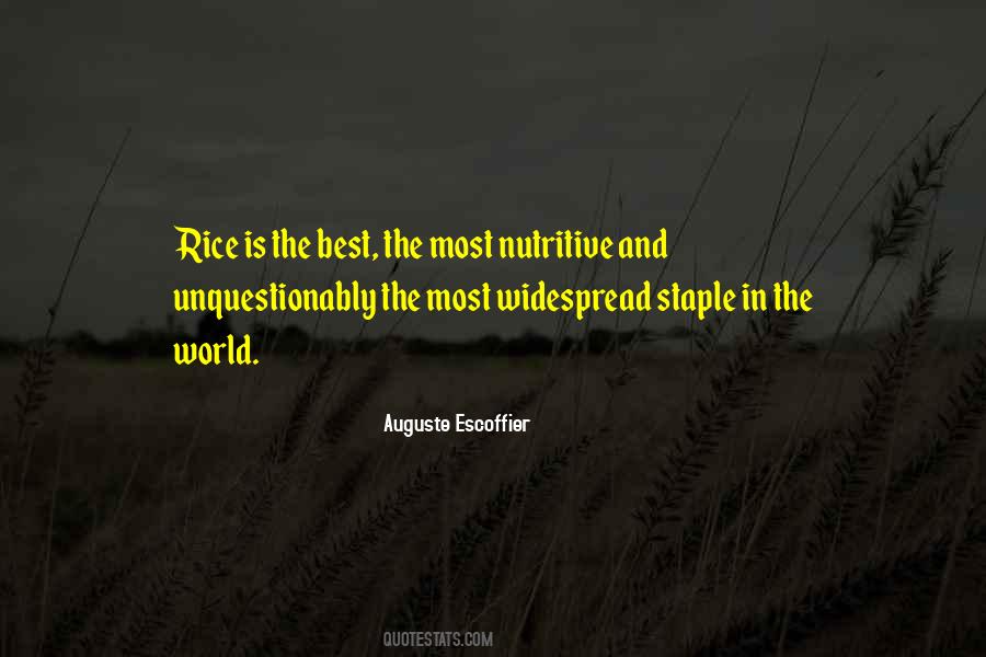 Quotes About Ziggerastica #467446