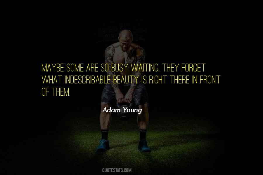 Adam Young Quotes #1647740