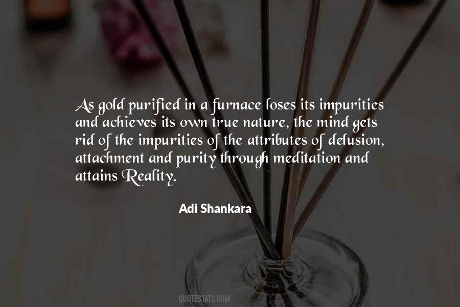 Adi Shankara Quotes #931830