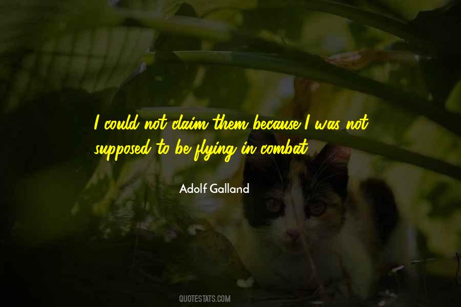 Adolf Galland Quotes #6855