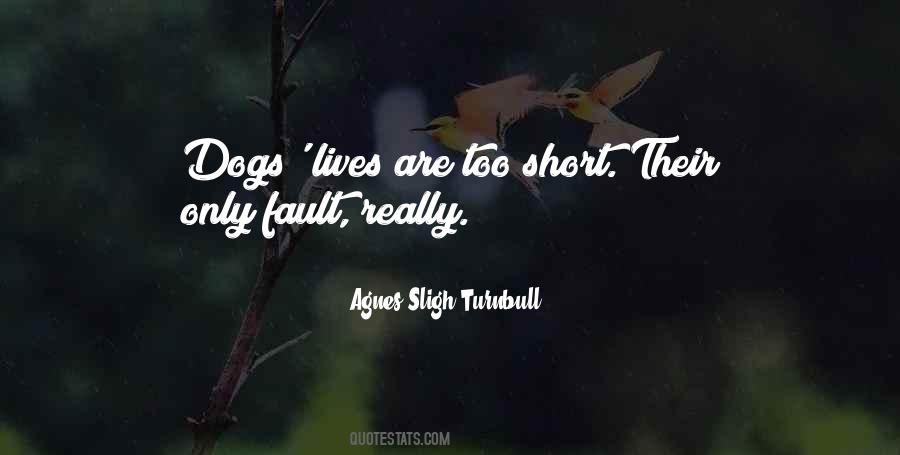 Agnes Sligh Turnbull Quotes #521007