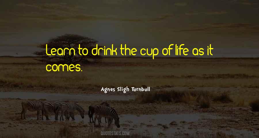 Agnes Sligh Turnbull Quotes #589934