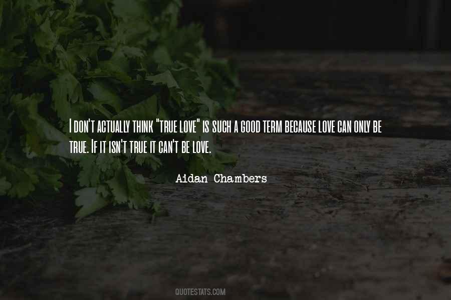 Aidan Chambers Quotes #1111263