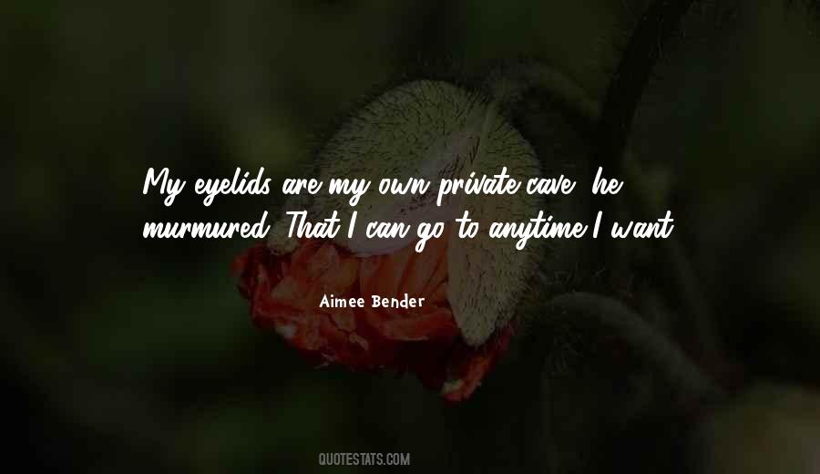 Aimee Bender Quotes #102720