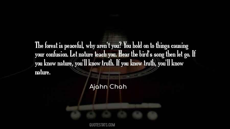 Ajahn Chah Quotes #1337799