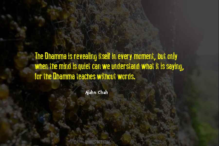 Ajahn Chah Quotes #34640