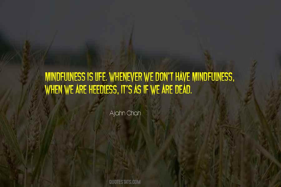 Ajahn Chah Quotes #457608