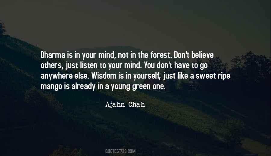 Ajahn Chah Quotes #535563