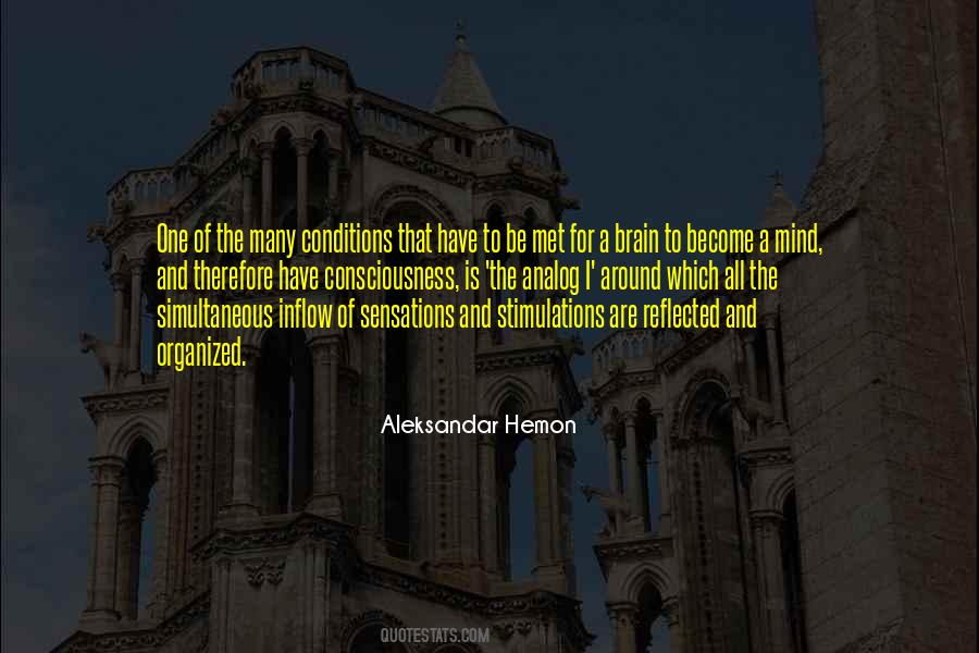 Aleksandar Hemon Quotes #252130