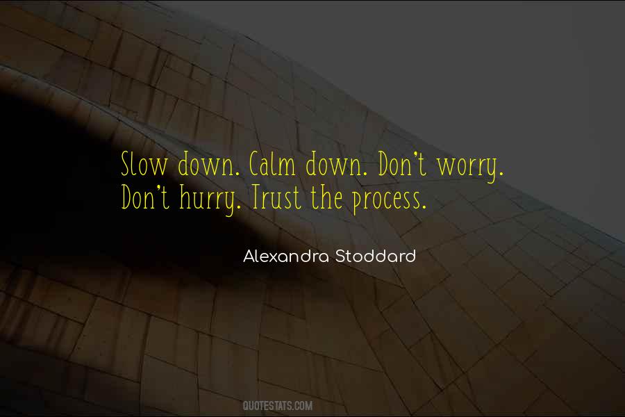Alexandra Stoddard Quotes #1430691