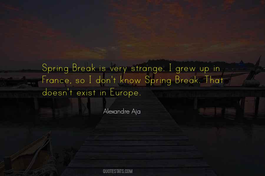 Alexandre Aja Quotes #1741351