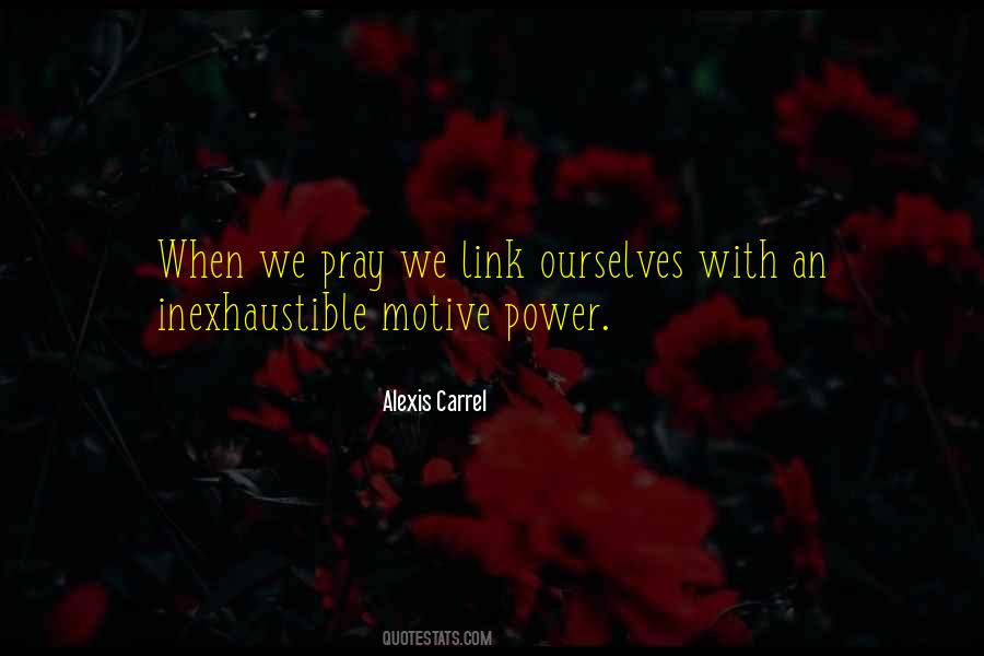 Alexis Carrel Quotes #154395