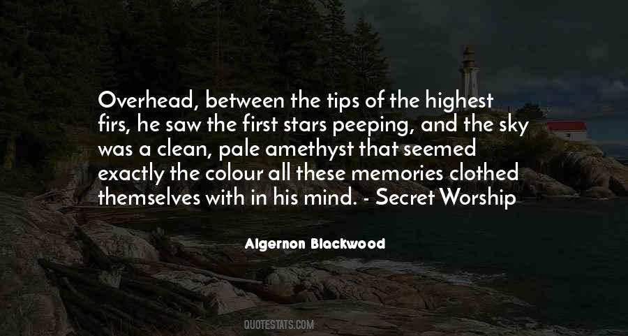 Algernon Blackwood Quotes #1200503