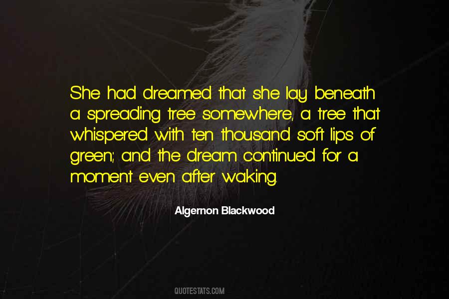 Algernon Blackwood Quotes #1217330