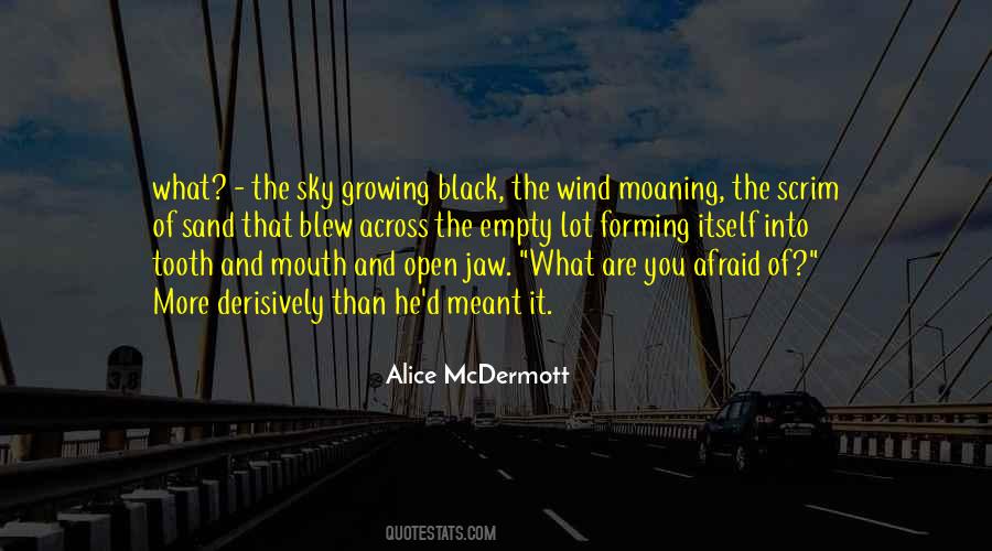 Alice Mcdermott Quotes #1386725