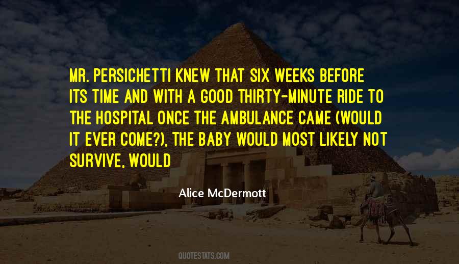 Alice Mcdermott Quotes #858591